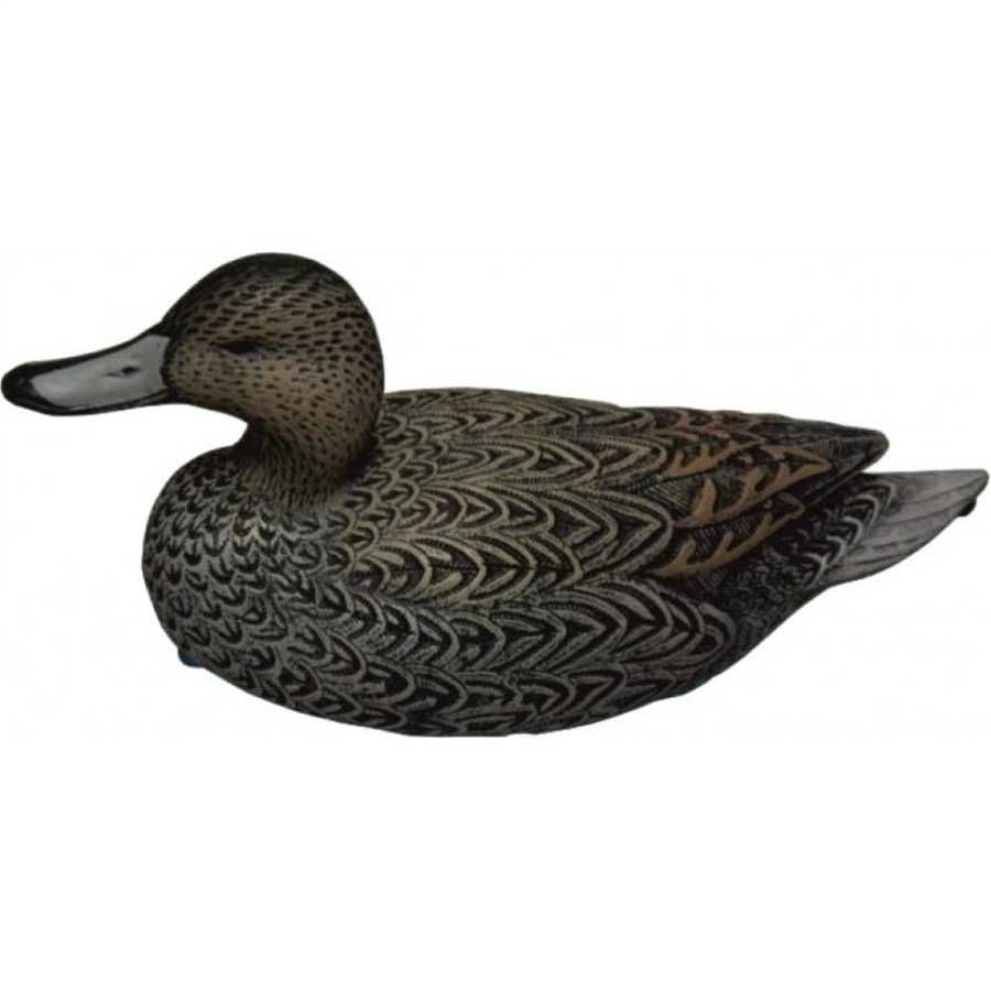 Kılkuyruk Ördek Mühresi