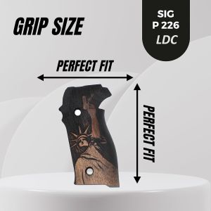 P 226 LDC 2