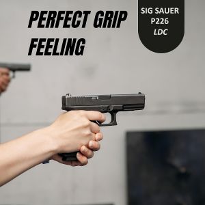 P 226 LDC 2  Brown